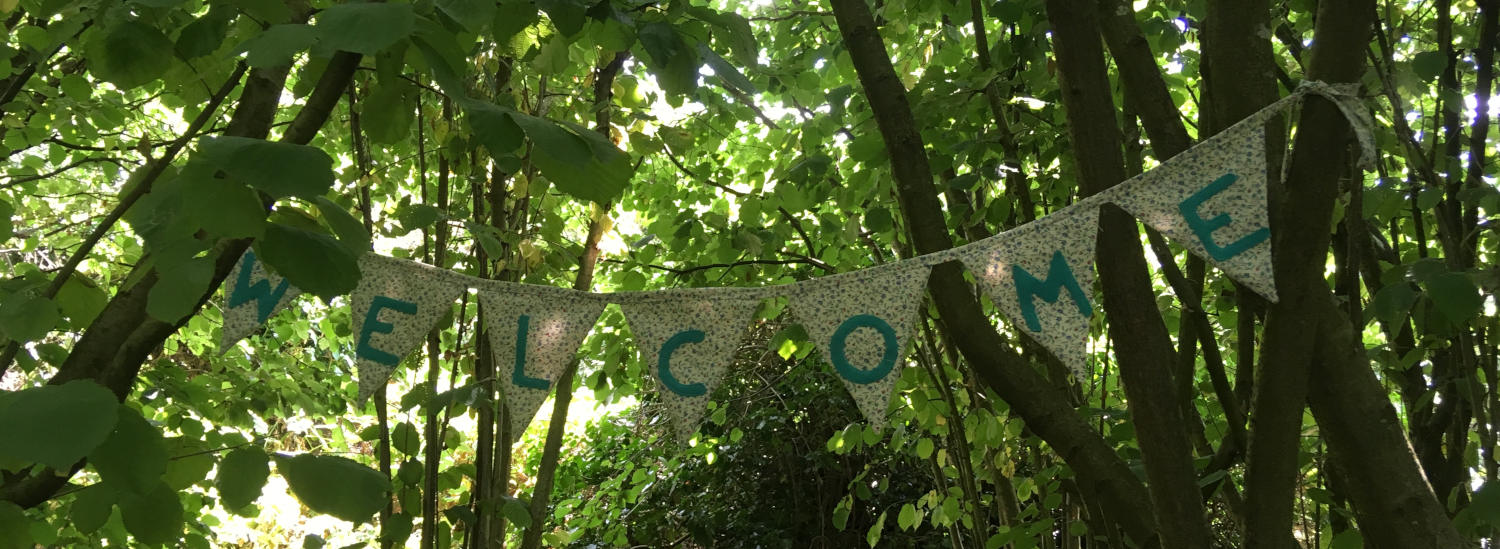 about the bramblewood project the bramblewood project