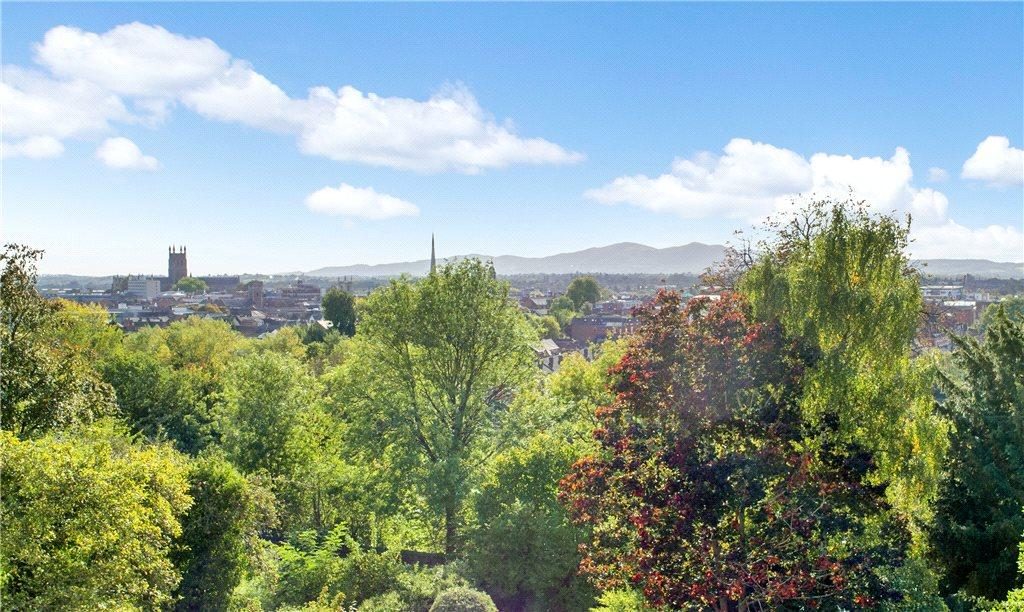 View over Bramblewood canopy