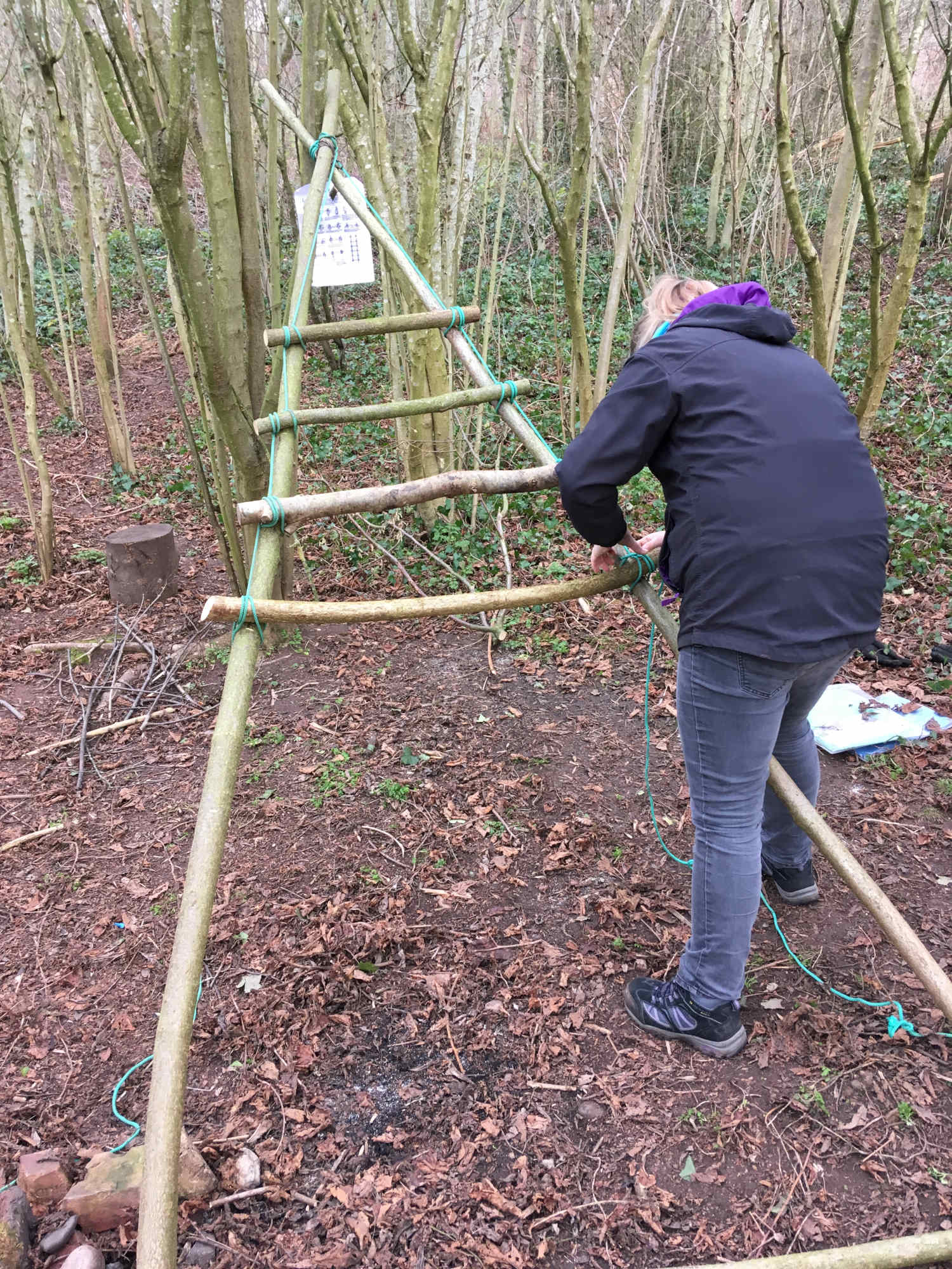 Building a ladder CPD opportunities