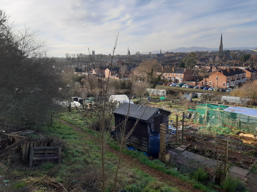 Worcester's arboretum across the canal in 2020